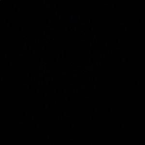 Meet your Posher, Alka